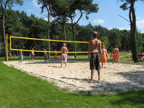 RecreatieParc De Witte Vennen - Camping Venray - Image N°14