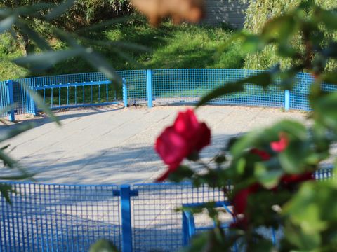 Strandpark Vlugtenburg aan Zee - Camping Westland - Image N°35