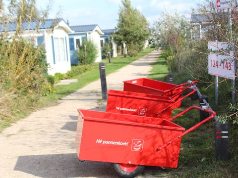 Strandpark Vlugtenburg aan Zee - Camping Westland - Image N°24