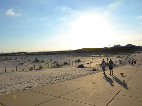 Strandpark Vlugtenburg aan Zee - Camping Westland - Image N°46