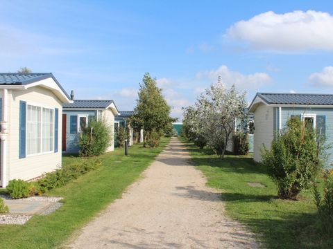 Strandpark Vlugtenburg aan Zee - Camping Westland - Image N°34