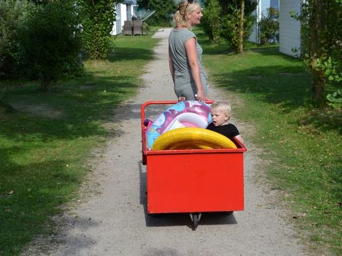 Strandpark Vlugtenburg aan Zee - Camping Westland - Image N°25