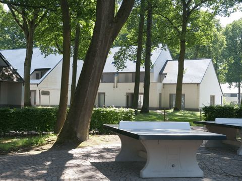 Holiday Suites Limburg - Camping Belgisch Limburg - Image N°13