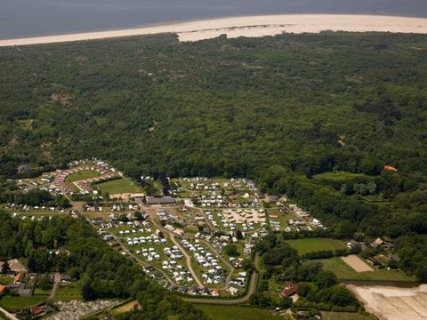 Molecaten Park Waterbos - Camping Westvoorne - Image N°25