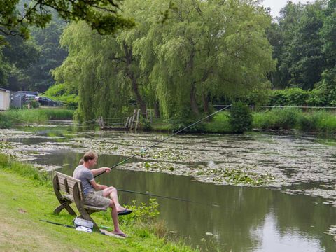 Molecaten Park Waterbos - Camping Westvoorne - Image N°11