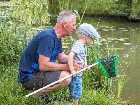 Molecaten Park Waterbos - Camping Westvoorne - Image N°12