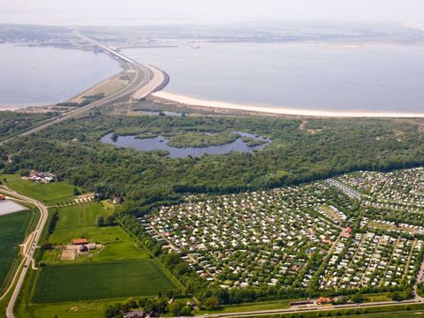 Molecaten Park Rondeweibos - Camping Westvoorne - Image N°12