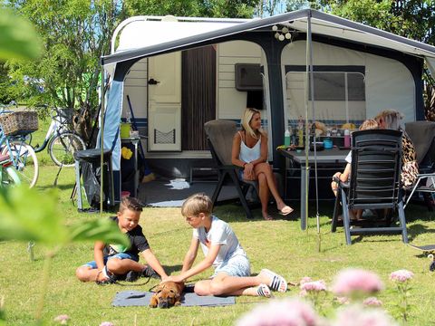 Molecaten Park Rondeweibos - Camping Westvoorne - Image N°7