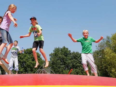 Molecaten Park Rondeweibos - Camping Westvoorne - Image N°11