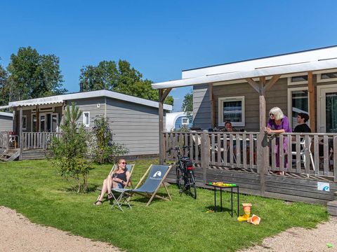 Molecaten Park Rondeweibos - Camping Westvoorne - Image N°3