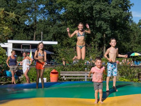 Molecaten Park De Leemkule - Camping Hattem - Image N°16