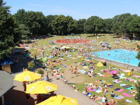 Molecaten Park Bosbad Hoeven - Camping Halderberge - Image N°5