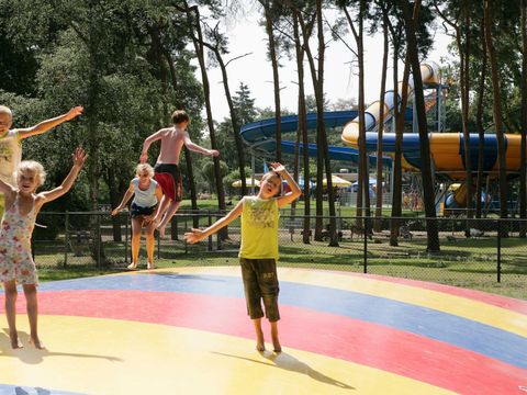 Molecaten Park Bosbad Hoeven - Camping Halderberge - Image N°24