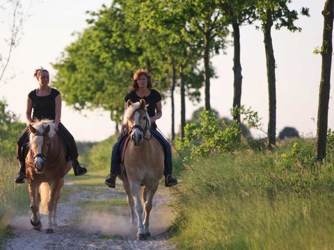 Molecaten Park Bosbad Hoeven - Camping Halderberge - Image N°34