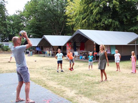 Molecaten Park Bosbad Hoeven - Camping Halderberge - Image N°19