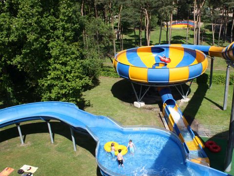 Molecaten Park Bosbad Hoeven - Camping Halderberge - Image N°10