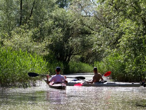 Molecaten Park Bosbad Hoeven - Camping Halderberge - Image N°33