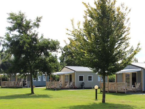 Molecaten Park Flevostrand - Camping Dronten - Image N°28