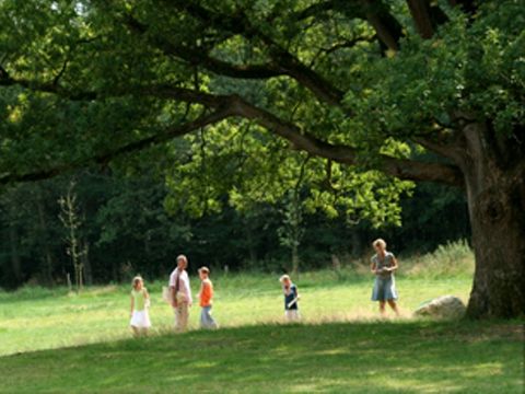 Buitengoed Fredeshiem - Camping Steenwijkerland - Image N°25