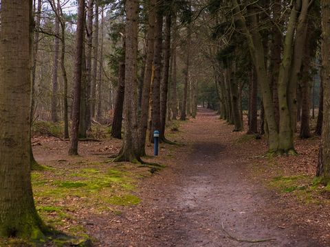 Buitengoed Fredeshiem - Camping Steenwijkerland - Image N°22