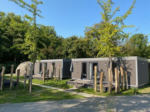 Vakantiepark Delftse Hout - Camping Delft - Image N°30