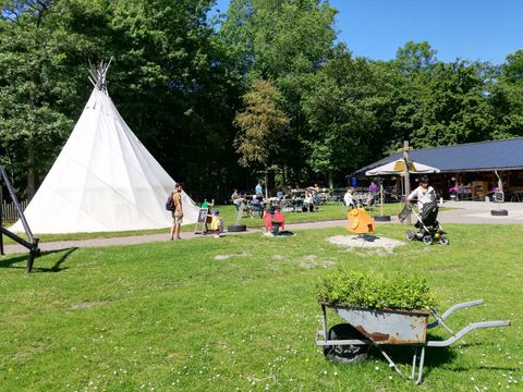 Vakantiepark Delftse Hout - Camping Delft - Image N°7