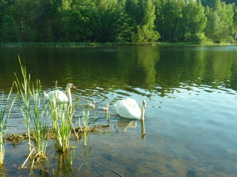 Stausee Oberwald - Camping Saxe - Image N°9