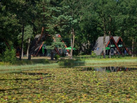 Vakantiepark 't Vosseven - Camping Weert - Image N°3