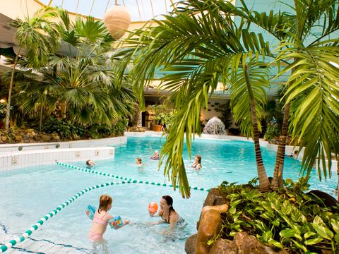 Center Parcs Limburgse Peel - Camping Horst an der Maas - Image N°3