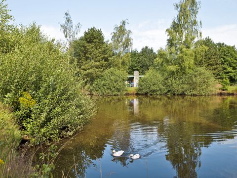 Center Parcs Limburgse Peel - Camping Horst an der Maas - Image N°31