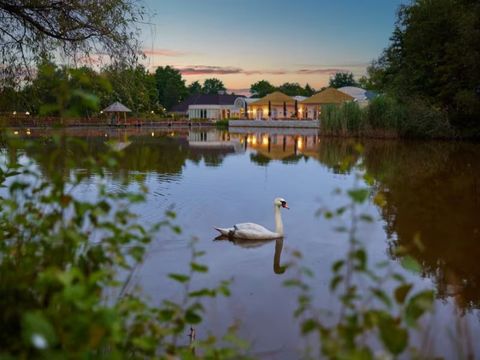 Center Parcs Limburgse Peel - Camping Horst an der Maas - Image N°26