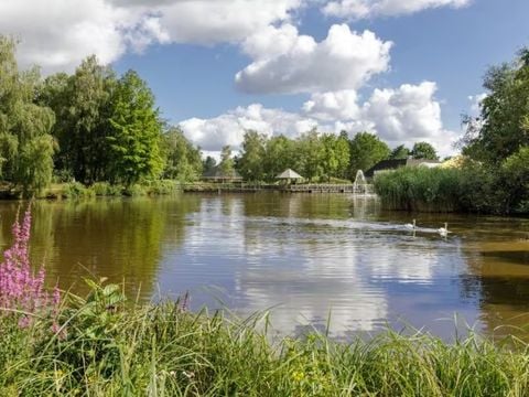 Center Parcs Limburgse Peel - Camping Horst aan de Maas - Afbeelding N°0