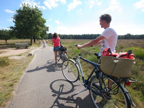 Summio Landgoed Het Grote Zand - Camping Midden-Drenthe - Image N°68