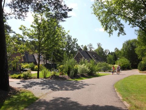 Summio Landgoed Het Grote Zand - Camping Mitte-Drenthe