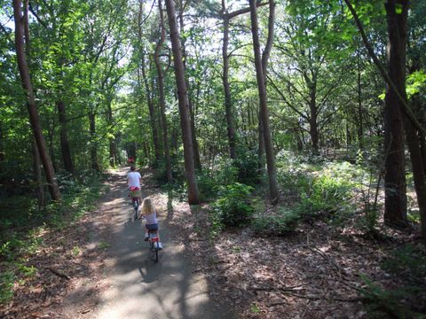 Summio Landgoed Het Grote Zand - Camping Midden-Drenthe - Image N°50