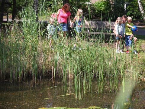 Summio Landgoed Het Grote Zand - Camping Midden-Drenthe - Image N°67