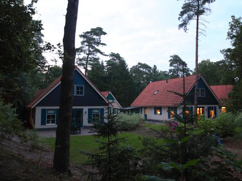 Summio Landgoed Het Grote Zand - Camping Midden-Drenthe - Image N°13