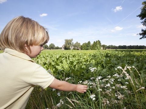 Roompot Vakantiepark Hunzedal - Camping Borger-Odoorn - Image N°45