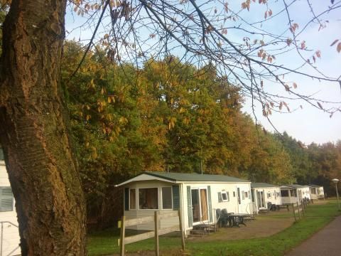 Roompot Vakantiepark Hunzedal - Camping Borger-Odoorn - Image N°21