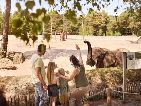 Lake Resort Beekse Bergen - Camping Hilvarenbeek