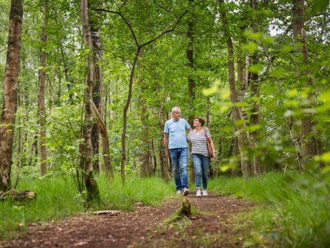 Landal Landgoed De Elsgraven - Camping Wierden - Image N°20