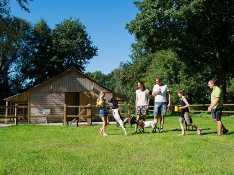 Landal Landgoed De Elsgraven - Camping Wierden - Image N°29