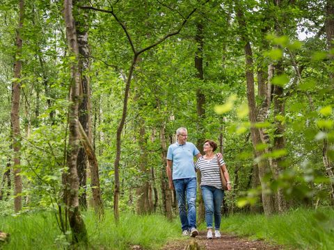 Landal Landgoed De Elsgraven - Camping Wierden - Image N°19