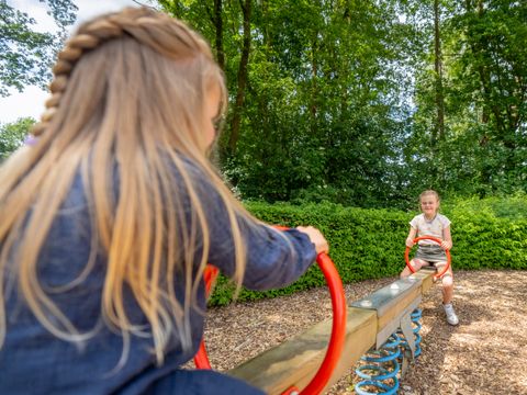 Landal Landgoed De Elsgraven - Camping Wierden - Image N°15