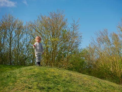 Landal Vitamaris - Camping Súdwest-Fryslân - Image N°23