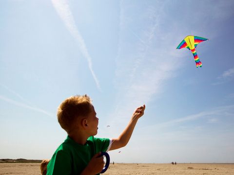 Landal Vitamaris - Camping Súdwest-Fryslân - Image N°28