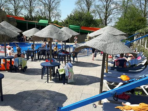 Vakantiepark De Oude Molen - Camping Dal et Berg - Image N°5