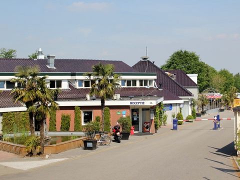 Vakantiepark De Oude Molen - Camping Dal et Berg - Image N°3