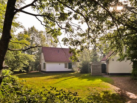 Summio Bungalowpark Het Drentse Wold - Camping Mitte-Drenthe - Afbeelding N°0