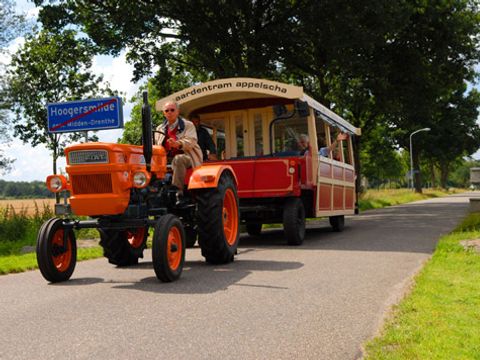 Summio Bungalowpark Het Drentse Wold - Camping Midden-Drenthe